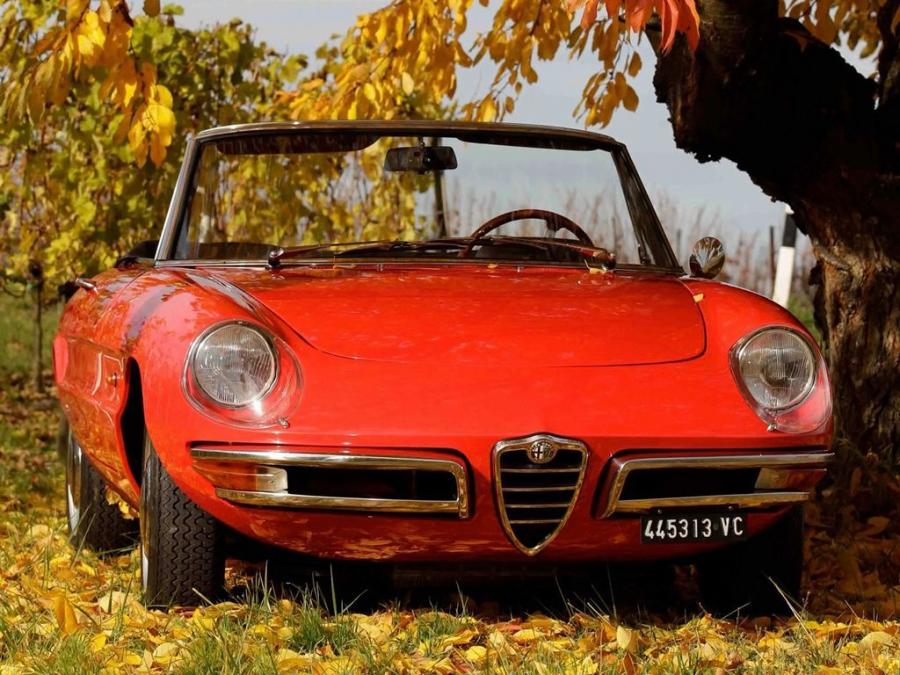  Alfa Romeo 1750 Spider Veloce (105) 1967 года  (фото 7 из 16)